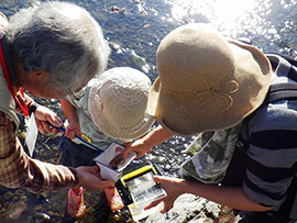 じゃぶじゃぶエビさがし