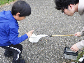 秋の特別講座 夜鳴く虫をさがそう!