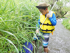春の木曽川の生きものさがし