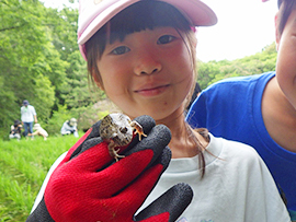 田んぼクラブ