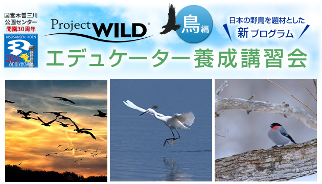 Project WILD 鳥編