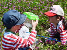 ままず調査団「家族ではじめる生き物観察~陸上編~」