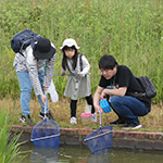 初夏の水辺で生き物をみつけよう