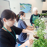 夏の寄せ植え体験