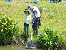 ままず調査団｢野草や春の生き物を観察しよう｣