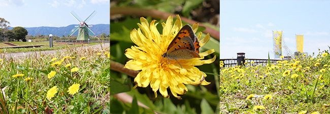 期間中の見どころ