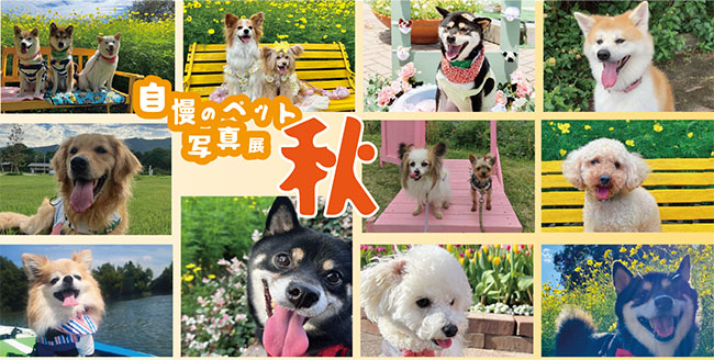 ペット写真展
