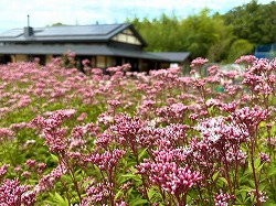 愛・地球博記念公園