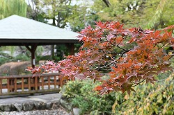 荒子川公園