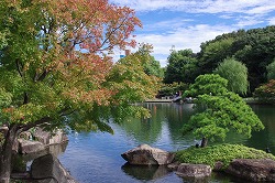徳川園