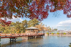 九華公園