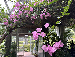 鞍ケ池公園
