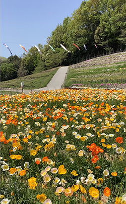 鞍ケ池公園
