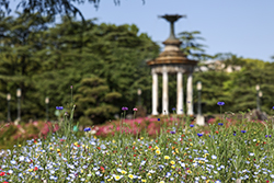 鶴舞公園