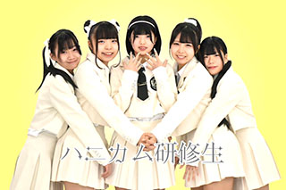 ハニカム研修生