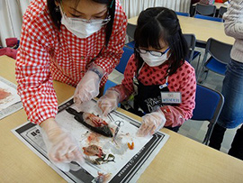 オオクチバスの解剖