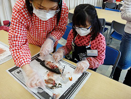 生きものの体の仕組みを調べよう～解剖の世界～