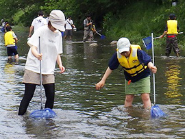 夏の木曽川の生きものさがし