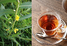 野草でお茶を作ろう~カワラケツメイ編~