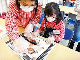 オオクチバスの解剖