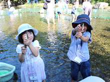 アユのつかみ取り