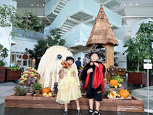 ハロウィンの衣装貸出し