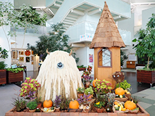 ハロウィン花のオブジェ展
