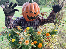 ハロウィン花のオブジェ展