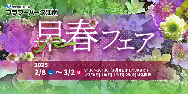 早春フェア