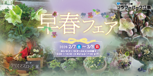 早春フェア