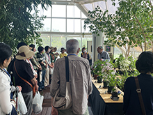 クレマチス展品種解説