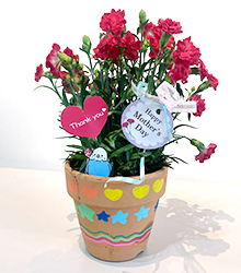 母の日にフラワーポットを贈ろう！