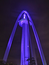 遺伝性血管性浮腫診断コンソーシアム　特別ライトアップ