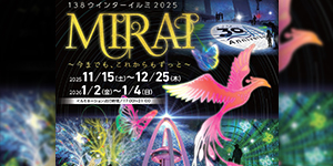 １３８ウィンターイルミ