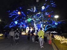 イルミネーションガイドツアー