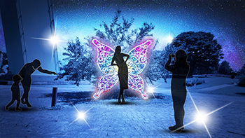 蝶たちの輪舞(ろんど)