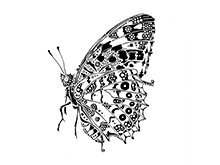 新春！動物・昆虫絵画展