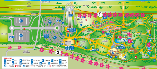桜を楽しむ 地図