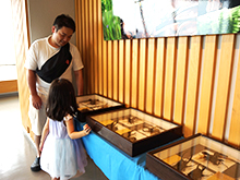 世界のクワガタムシ展