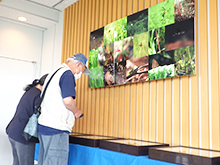 世界のカブクワ大集合展