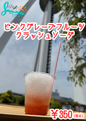 ざるきしめんセット ざるきしめん