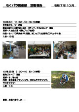 もくパラ倶楽部 活動報告