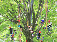 ロープで木登り！ツリーイング