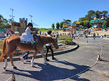 ポニー乗馬体験
