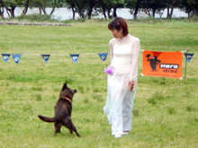 DISC DOG & DOG DANCE