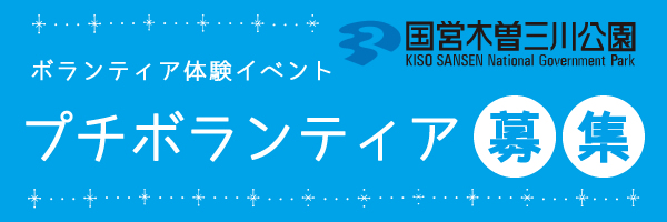 プチボランティア