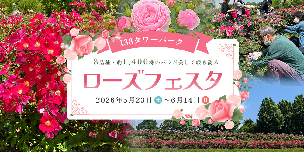 １３８タワーパーク　ローズフェスタ