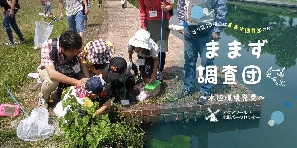 ままず調査団～水辺環境発見～