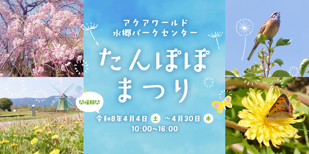 アクアワールド水郷パークセンター パークセンターたんぽぽまつり