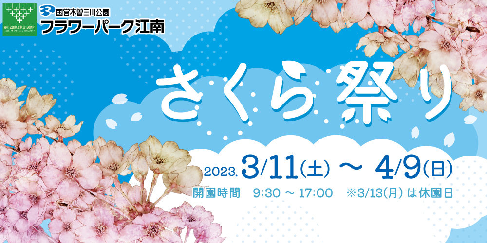 フラワーパーク江南 さくら祭り